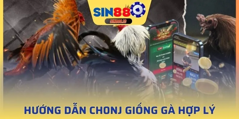 Nắm rõ cách thức chọn giống